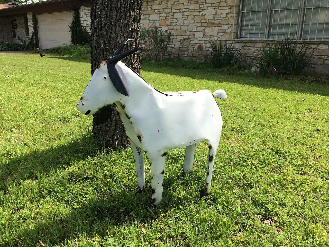 3. 植物土壤沙含量