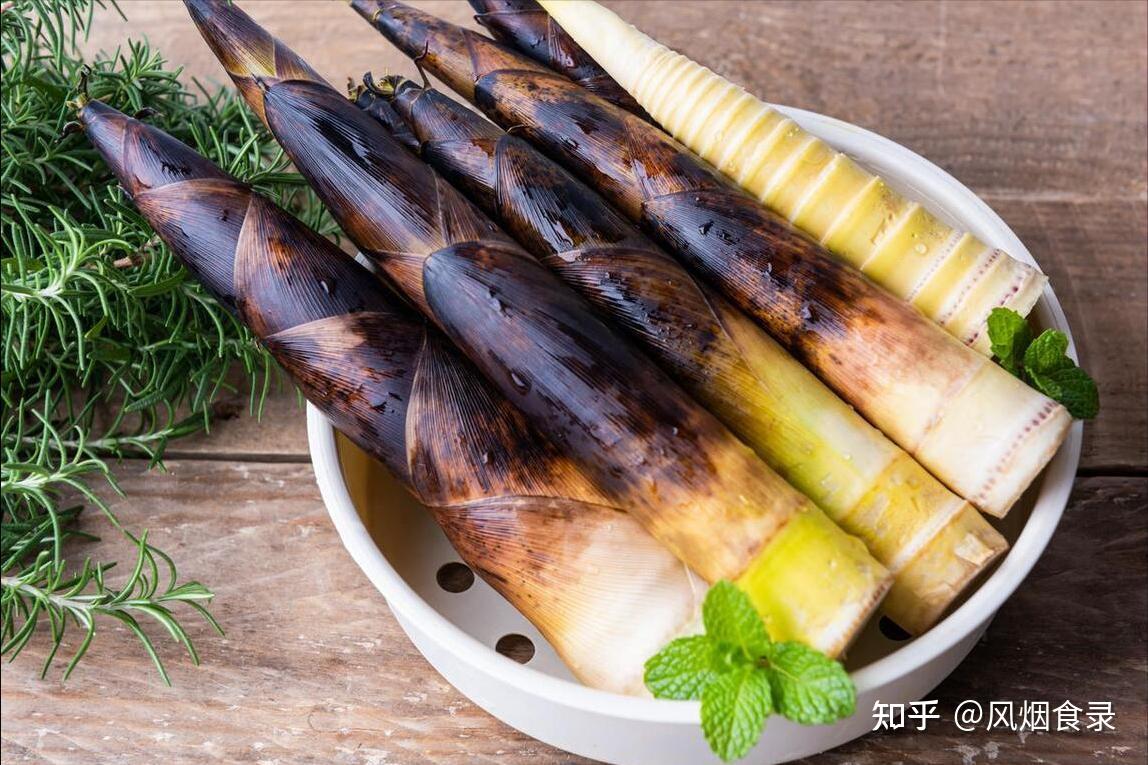 全国有多少种“笋”?哪个品种最好吃?今天全读懂,来,涨知识了 - 知乎