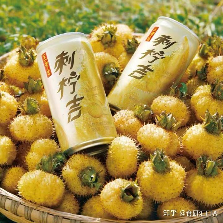 王老吉刺柠吉梦幻联动黄霄雲，刺梨会是今夏出圈的小众水果吗？ - 知乎