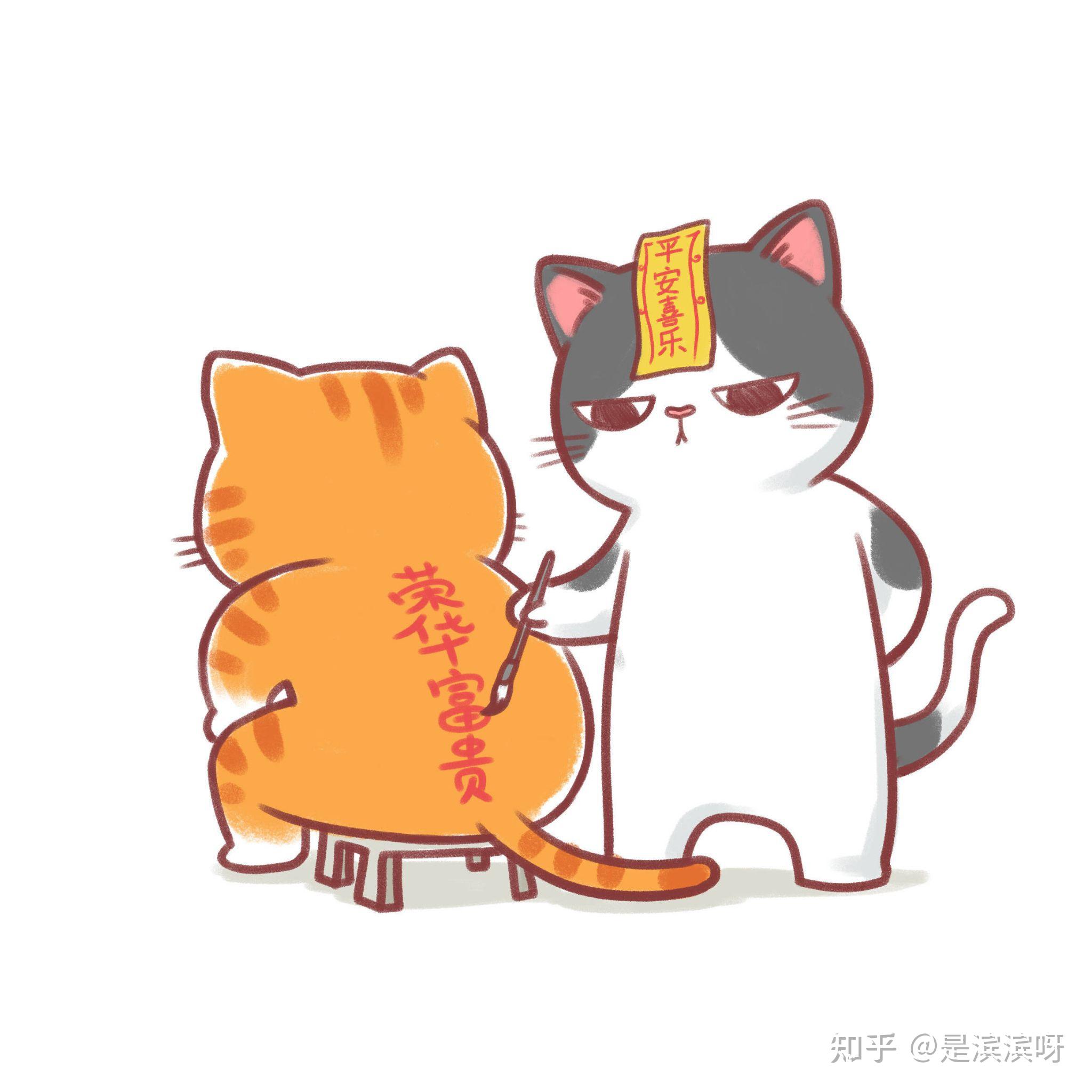 求猫猫往头上贴符的系列图片有脱非入欧一夜暴富什么的谢谢大家啦