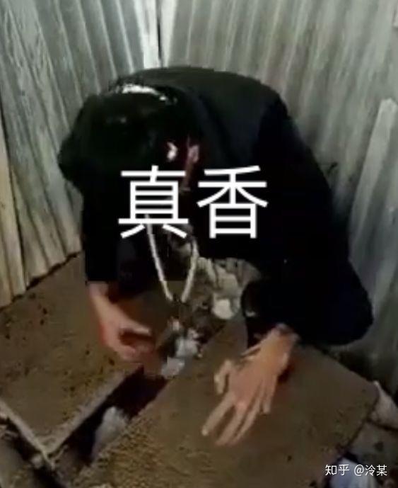 快手老八真的吃了屎吗