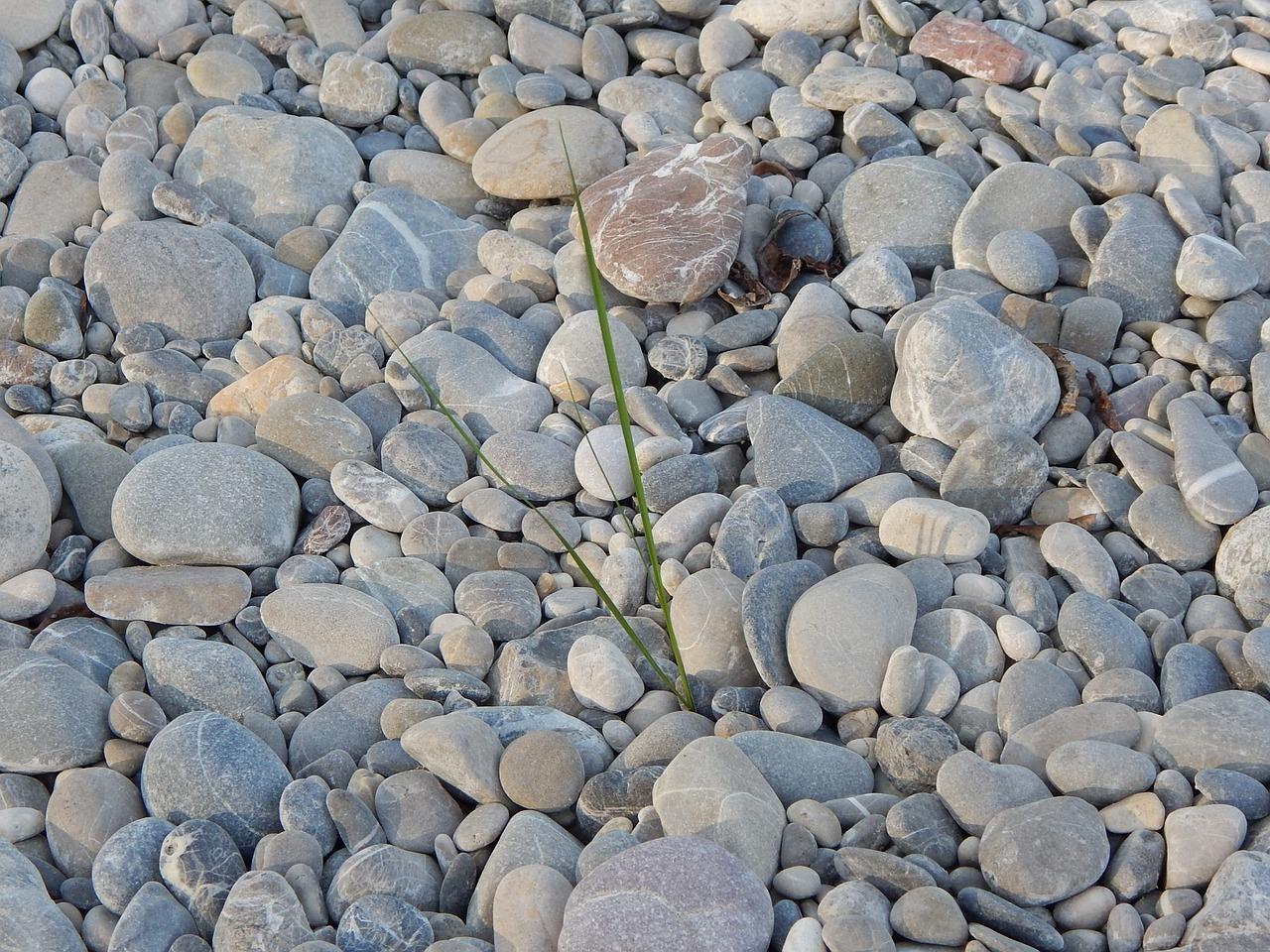 3. 鹅卵石岩性鉴定