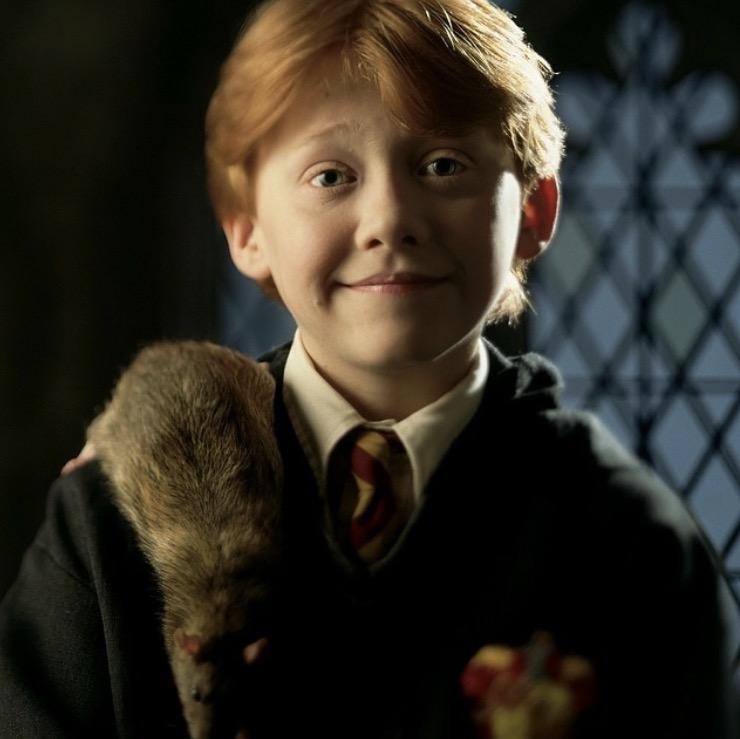 如何评价《哈利·波特》里的罗恩·韦斯莱? - 知乎