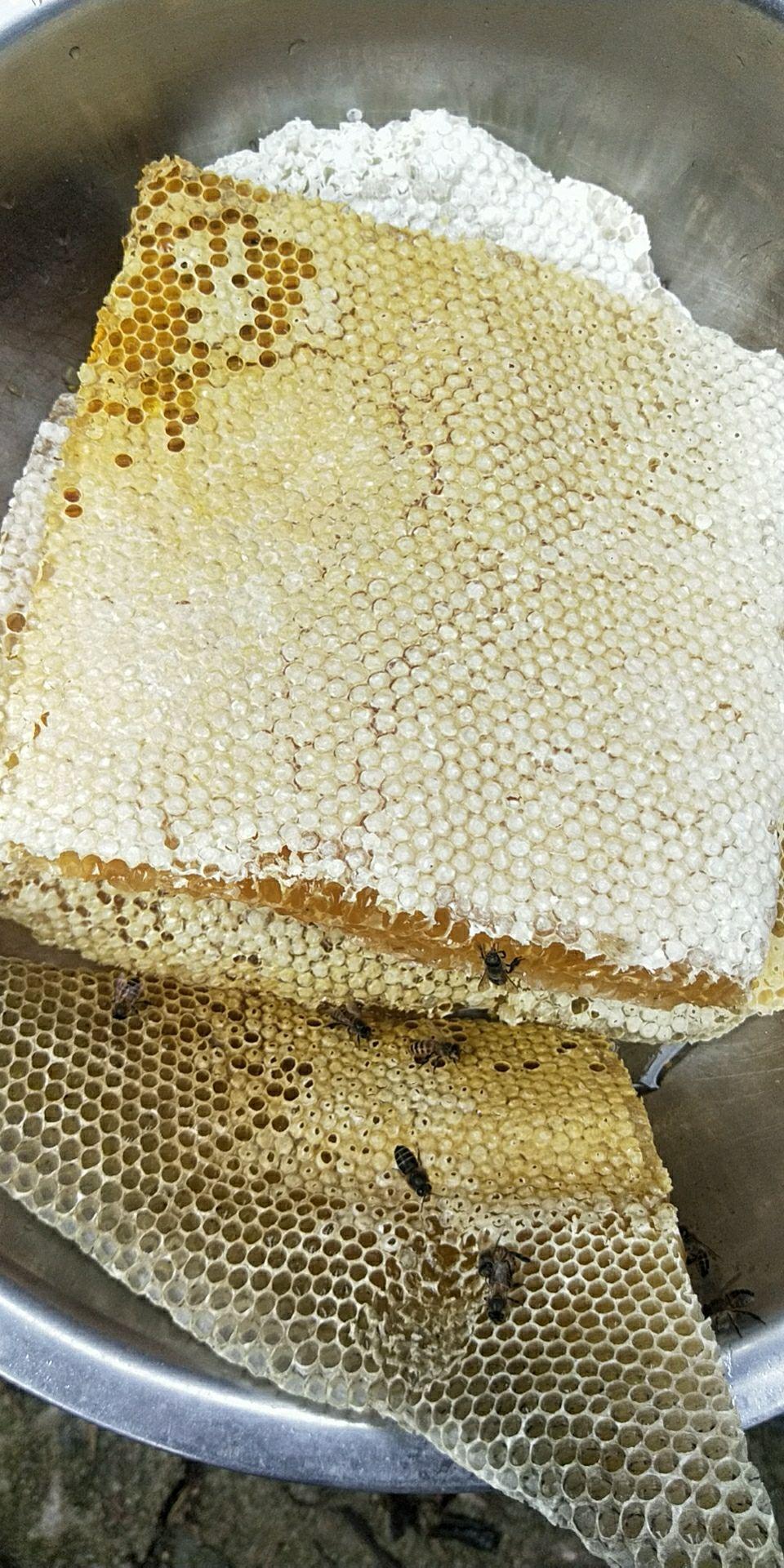 刚买了瓶蜂蜜有人知道里面的这种固体是什么吗