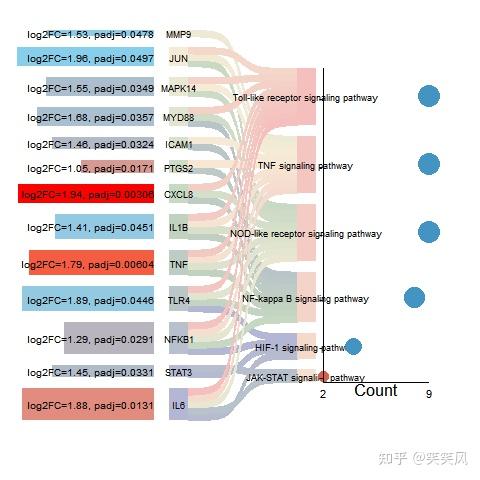 富集分析图还能这么画？桑基图+气泡图+条形图三位一体，一眼锁定关键基因与通路！ - 知乎