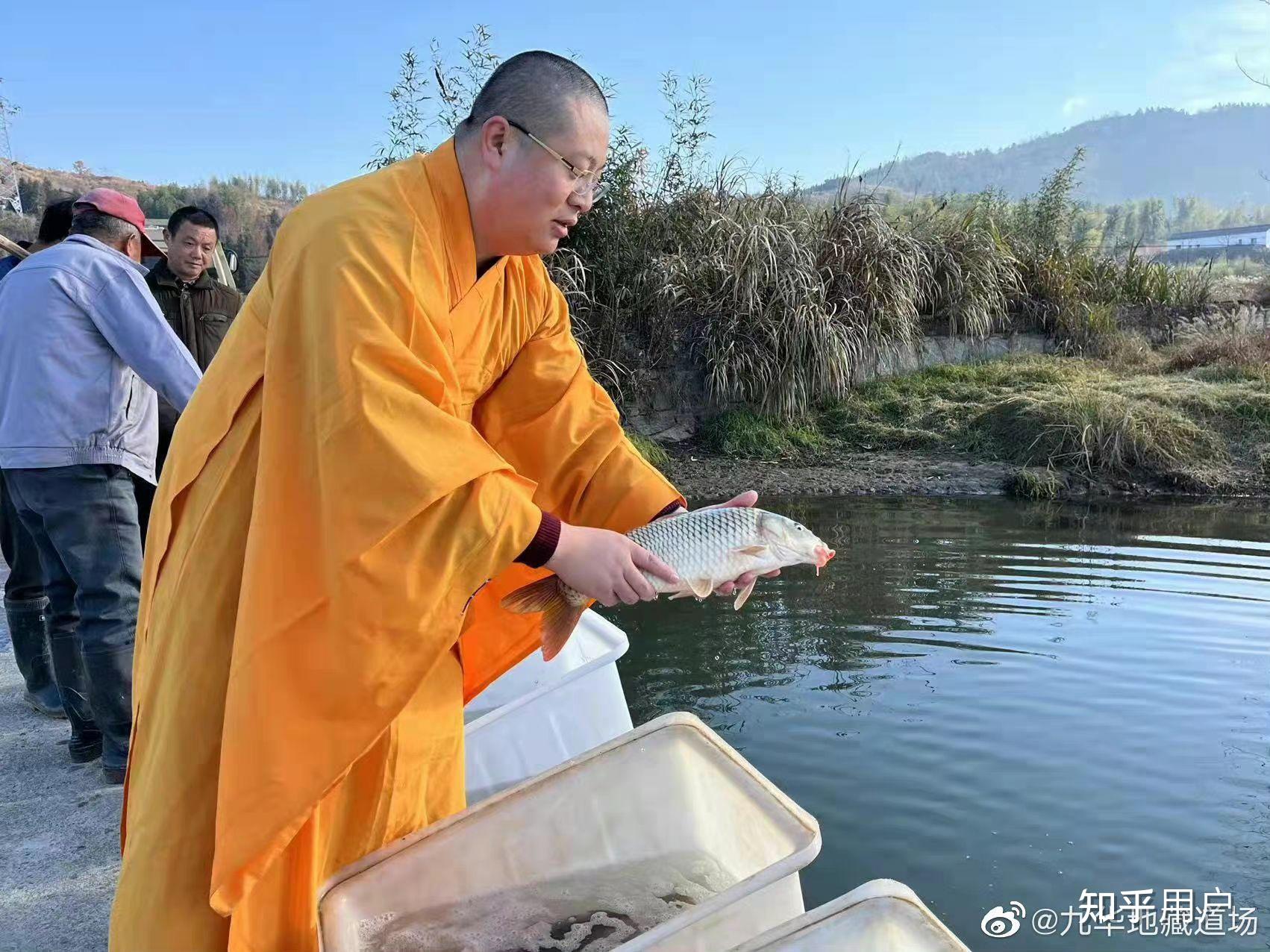 九華山普渡寺是正規寺院嗎瑜伽焰口超度收費59991299922999住持釋惟文