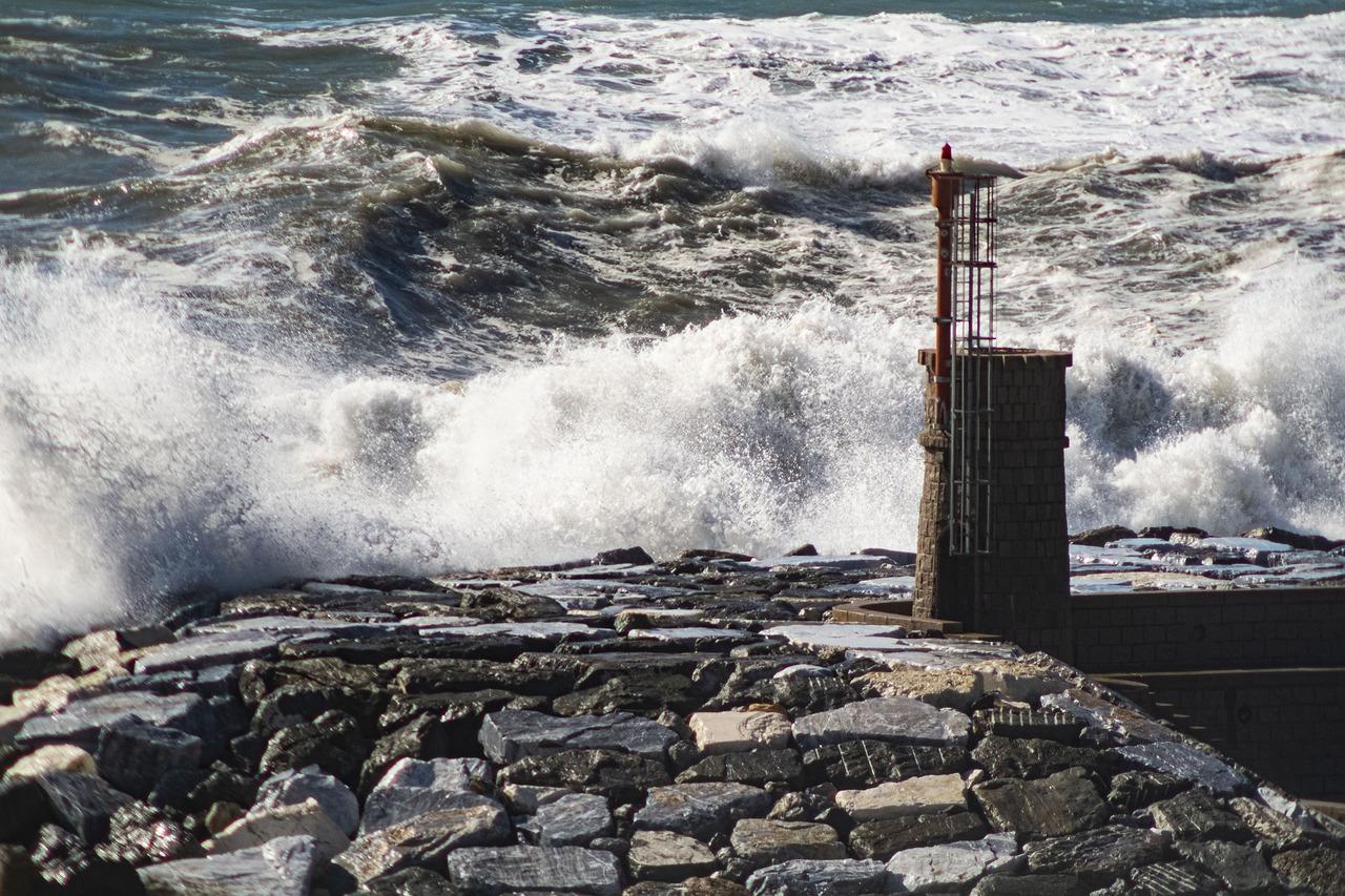 波土拍错后果严