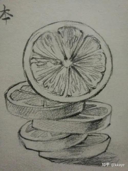 橙子结构图素描图片
