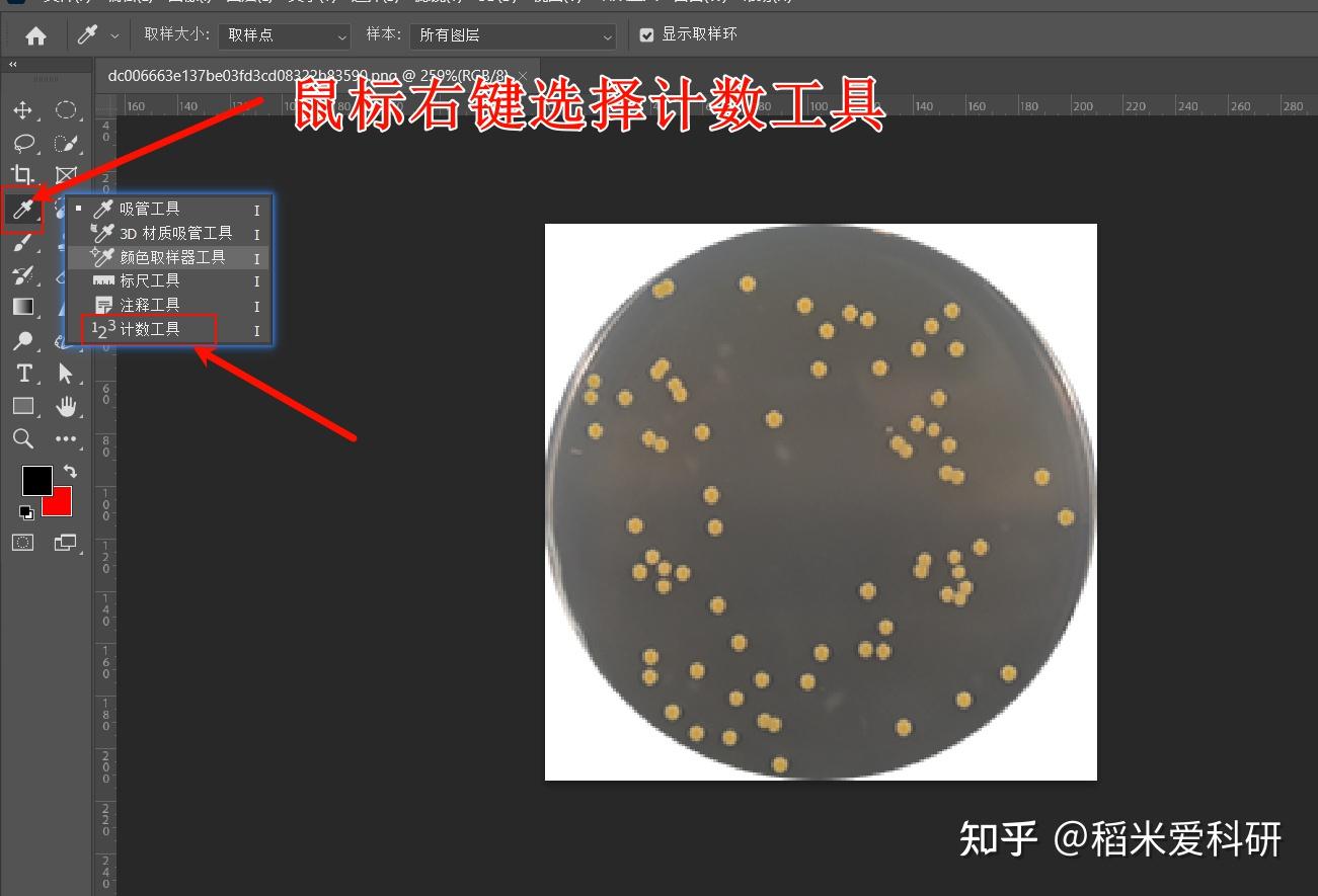 计数？你可以选它们！ - 知乎
