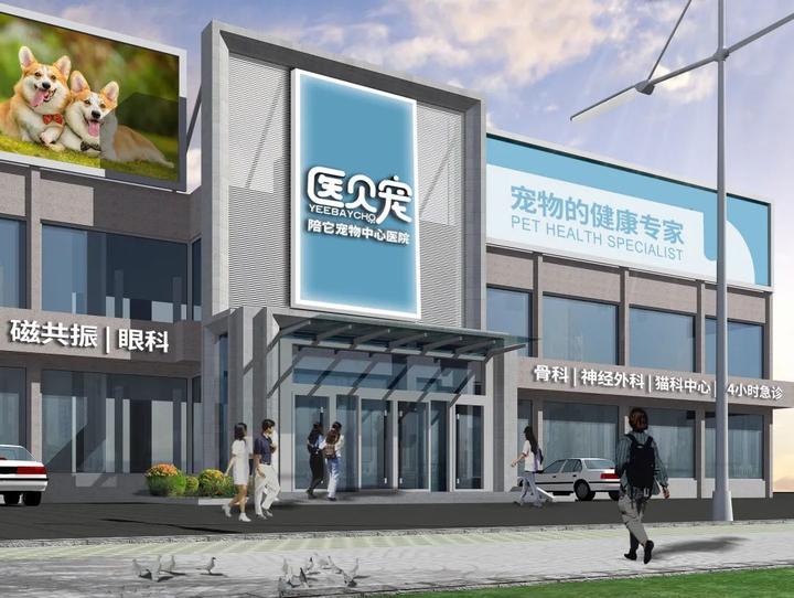 宠物医院内行话 | 如何更好地与兽医沟通? - 知乎