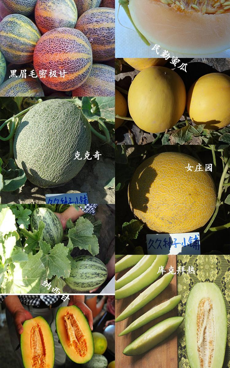 蜜瓜品种名称及图片图片