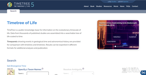 物种树构建 - 知乎