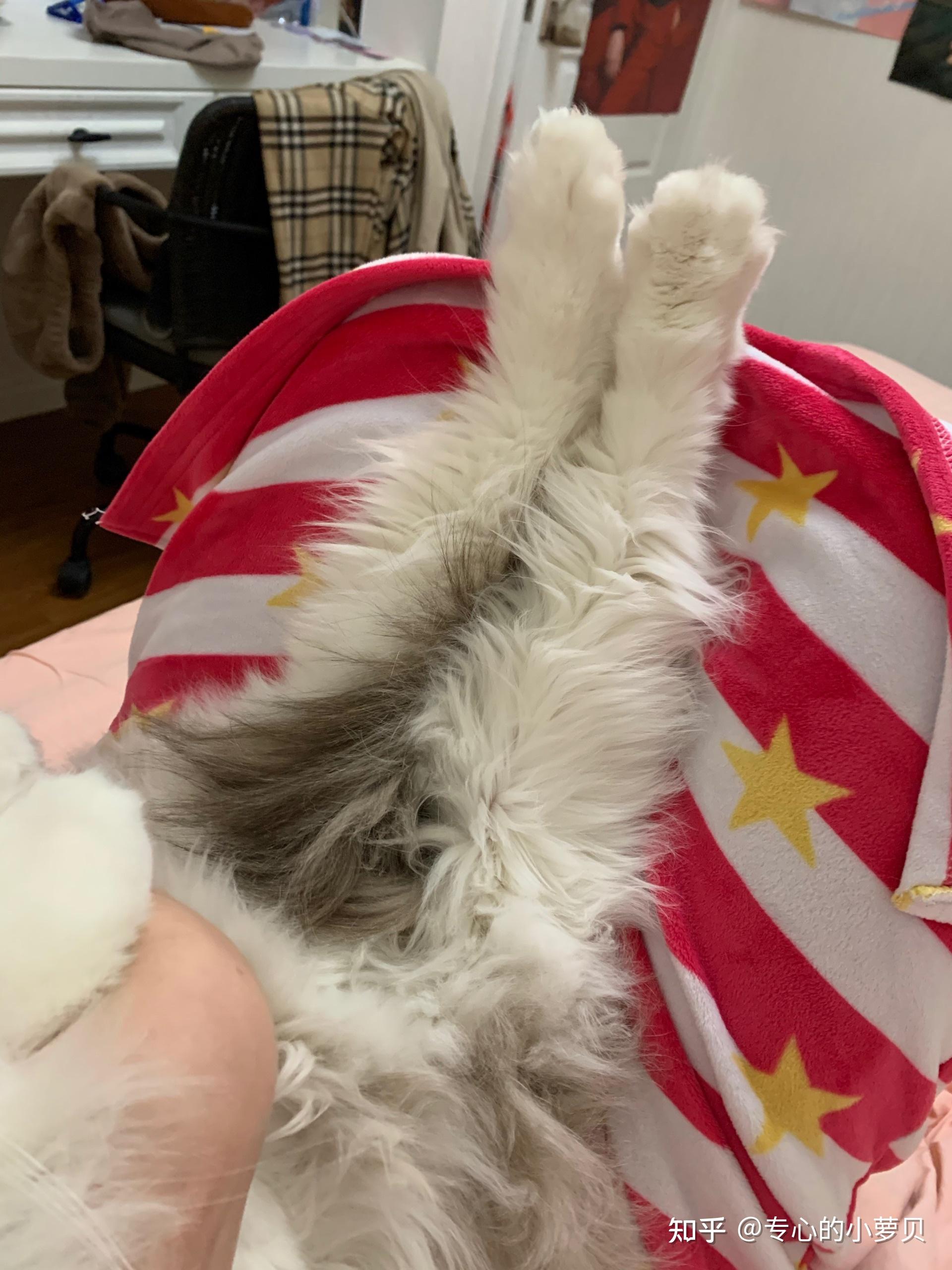 С�ޱ���С�ޱ���վ����ǰ