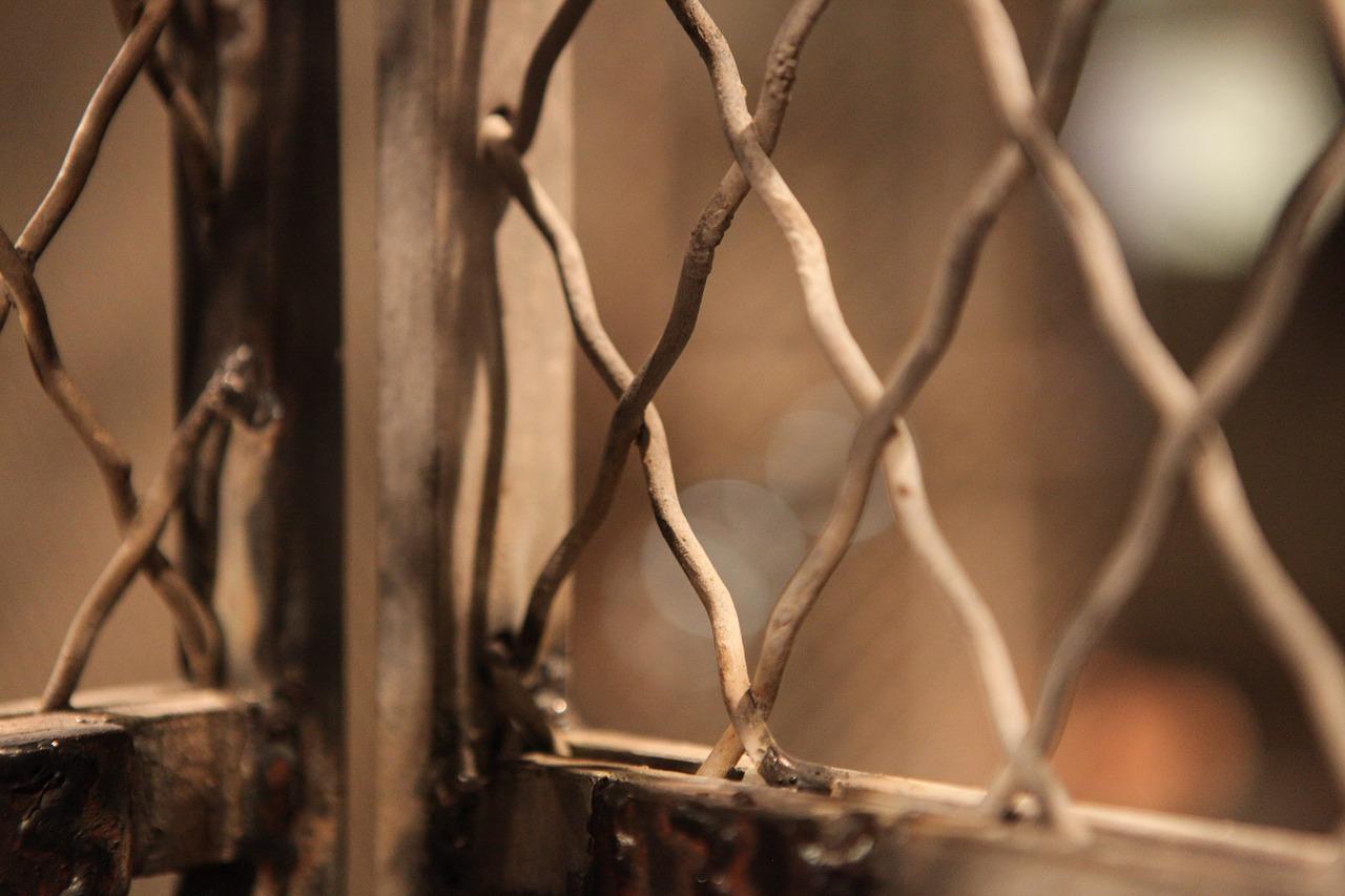 格作文本创作技巧分享