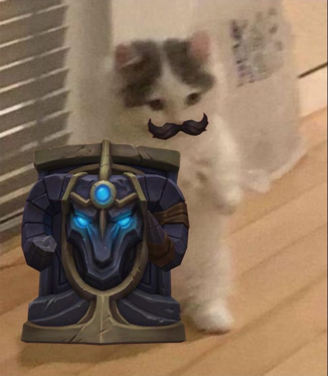 你都有哪些英雄联盟魔法猫咪的表情包
