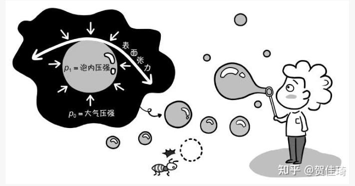 【一分钟带你揭秘】——表面张力 - 知乎