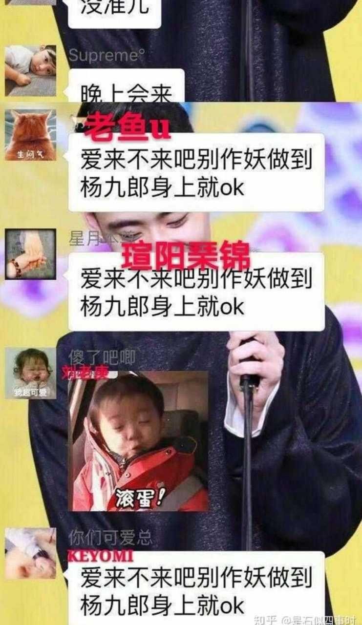 杨九郎给老鱼图片