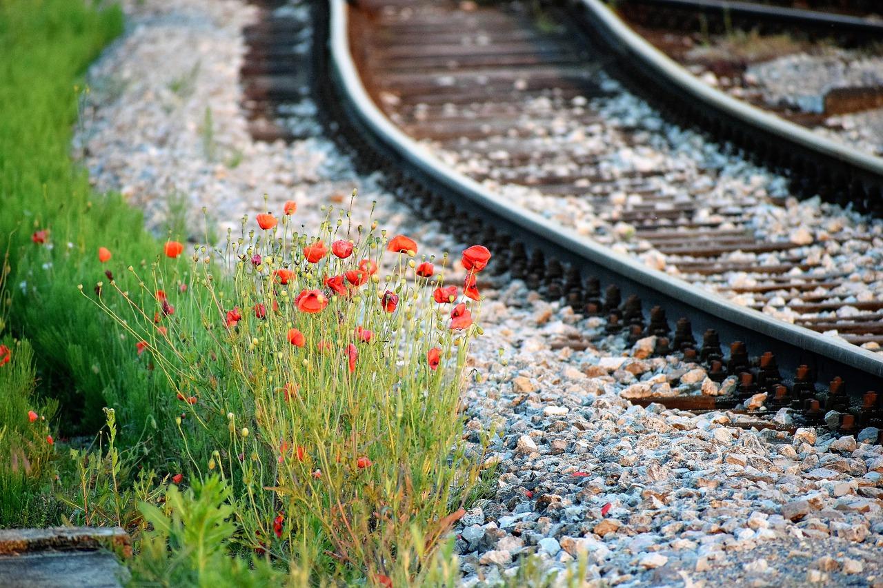 4. 稳定轨道体验