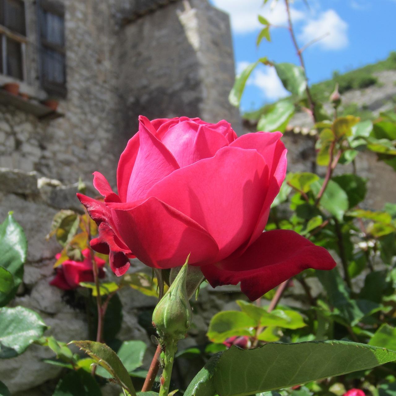普罗旺斯旅游开销