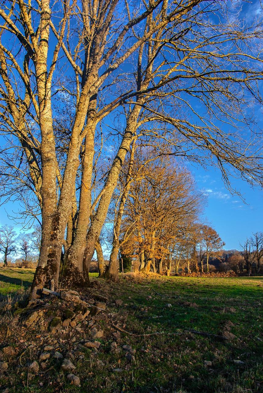 冬雪纷飞的童话