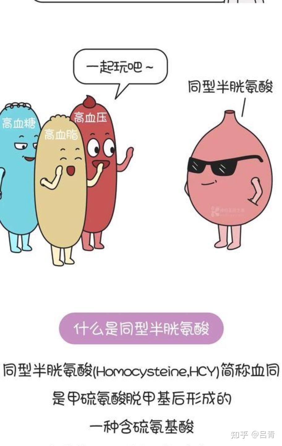 叶酸（folate）在高同型半胱氨酸血症中的作用 - 知乎