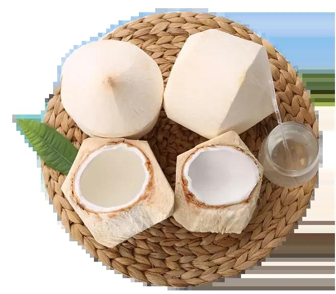 进口印度尼西亚椰子清关指南/报关流程/清关流程材料