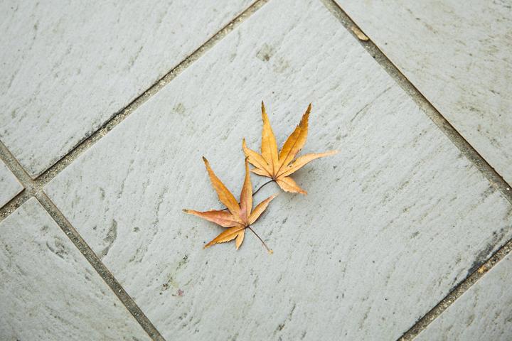 店长必须牢记的5个工作重点！ - 知乎