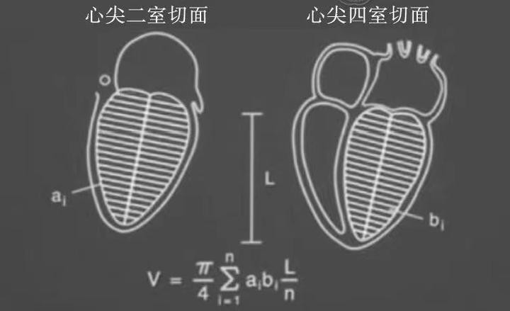 ルイーズ オハラ「プロムナード」 SZ大 動物 TVSB-