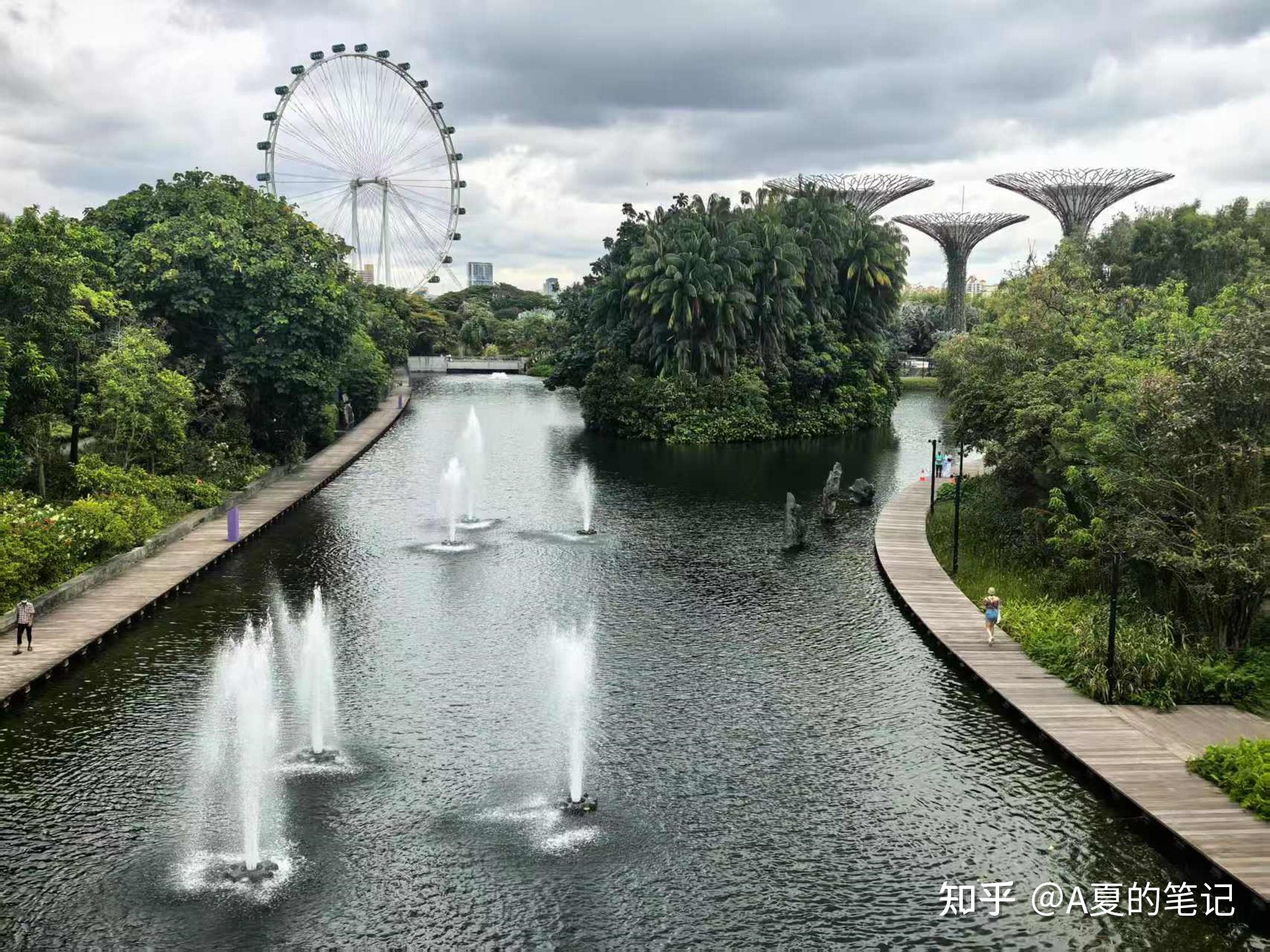 新加坡为什么发展那么快(新加坡为何如此发达)