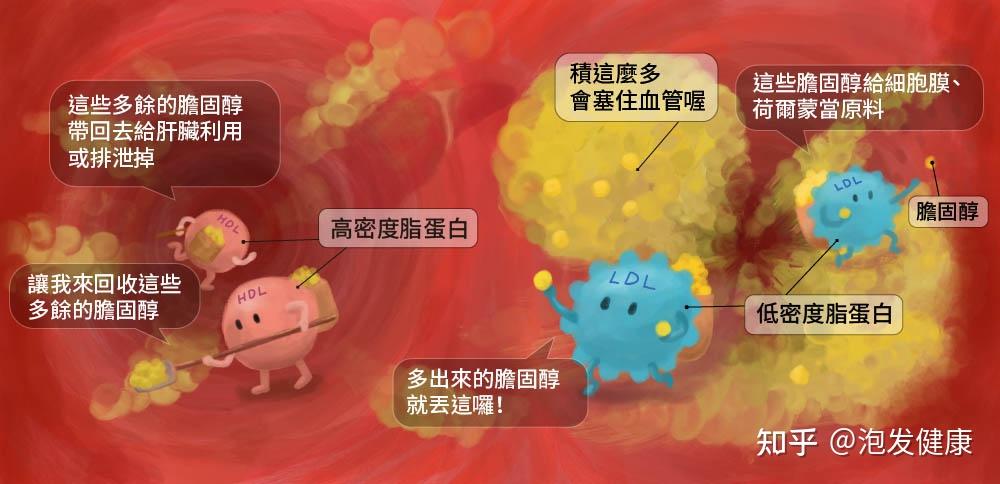 求助如何降低低密度脂蛋白胆固醇指标