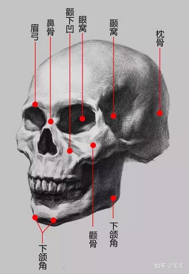 可以指点一下这个图吗