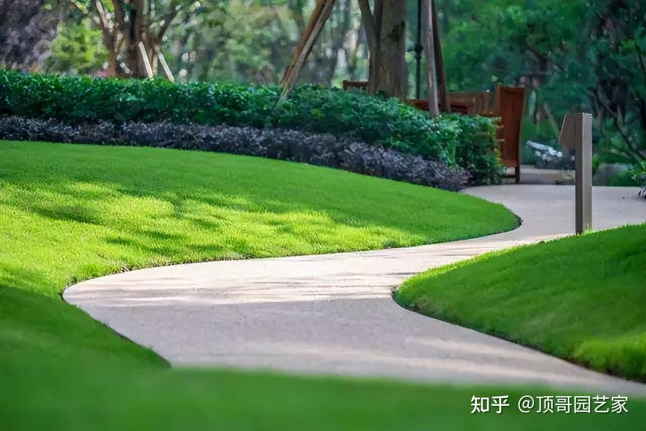 百家乐官网链接从田间“配角”到增收“主角”