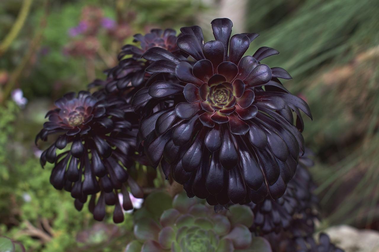 地段潜力，价格亲民