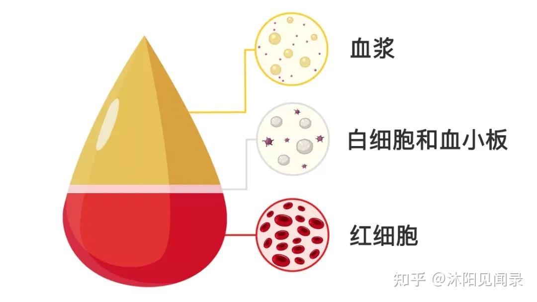 为什么血小板会低的原因百科在线