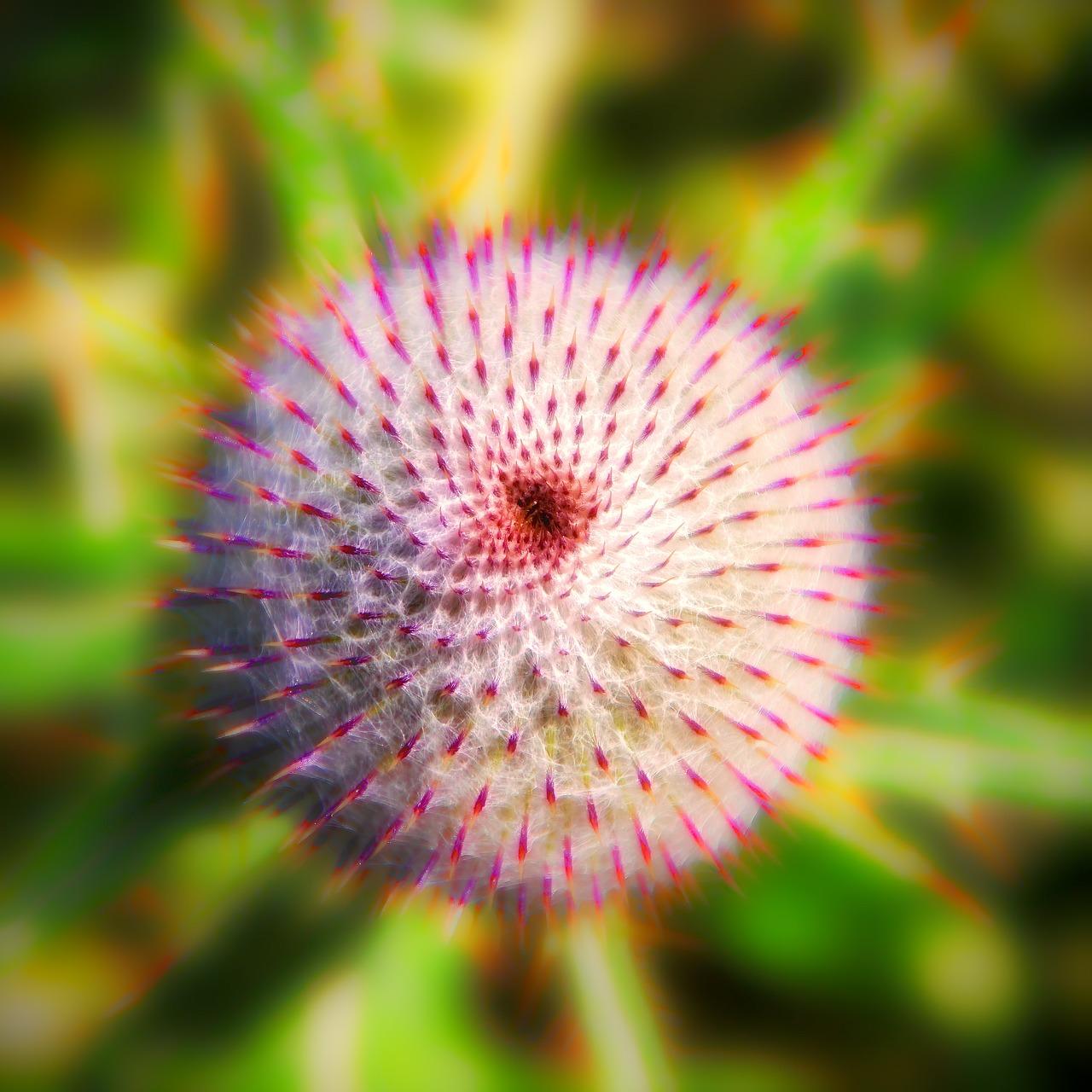 4. 征迁案例分享