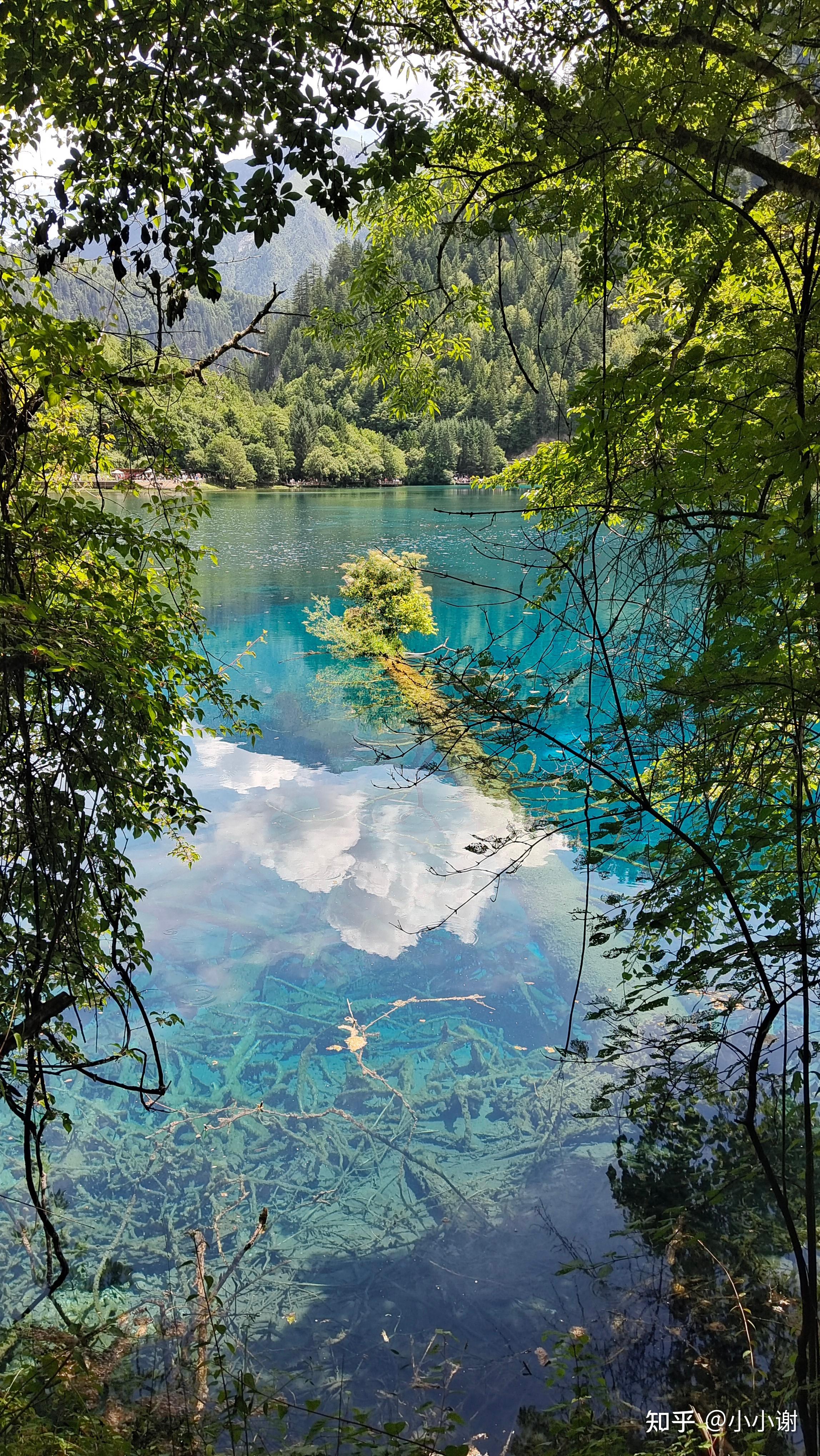 可不可以分享一张你相册里面的风景照吗