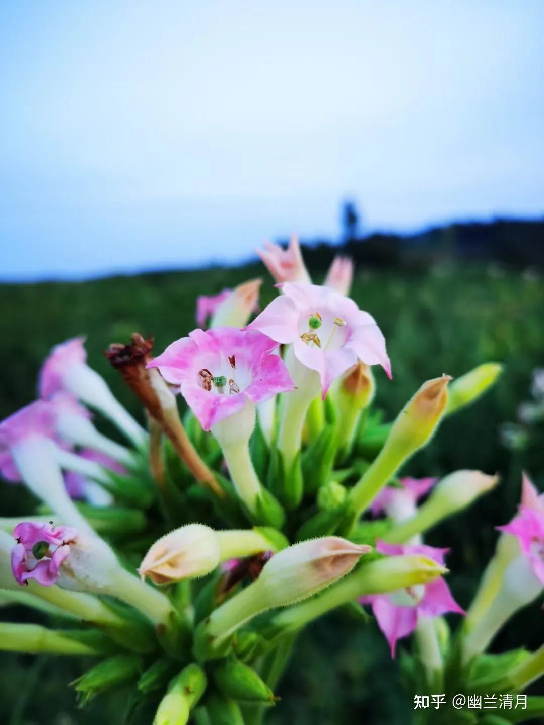 长大后大家会喜欢和父母待在一块吗? - 知乎