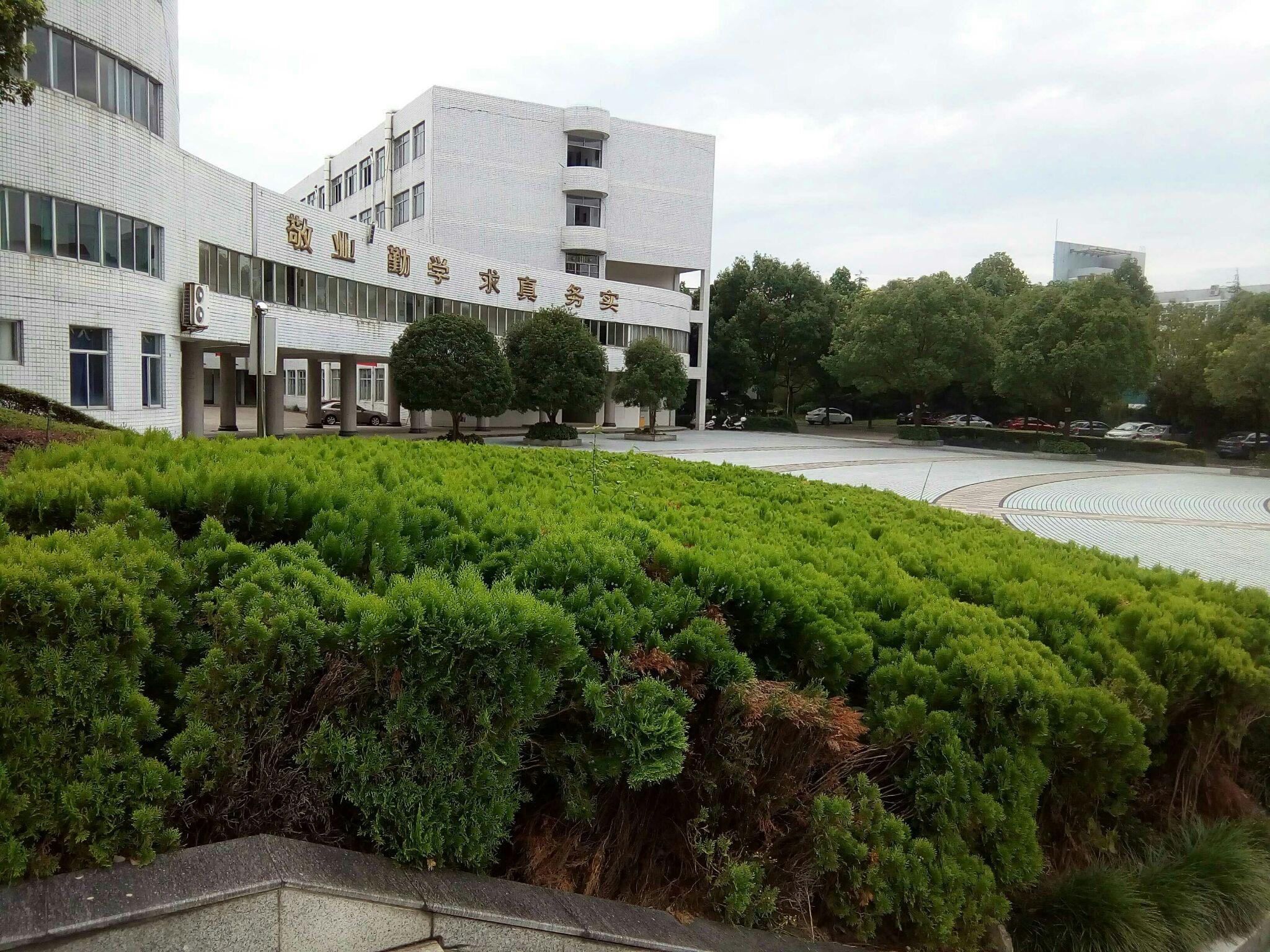 在缙云中学就读是一种什么样的体验?