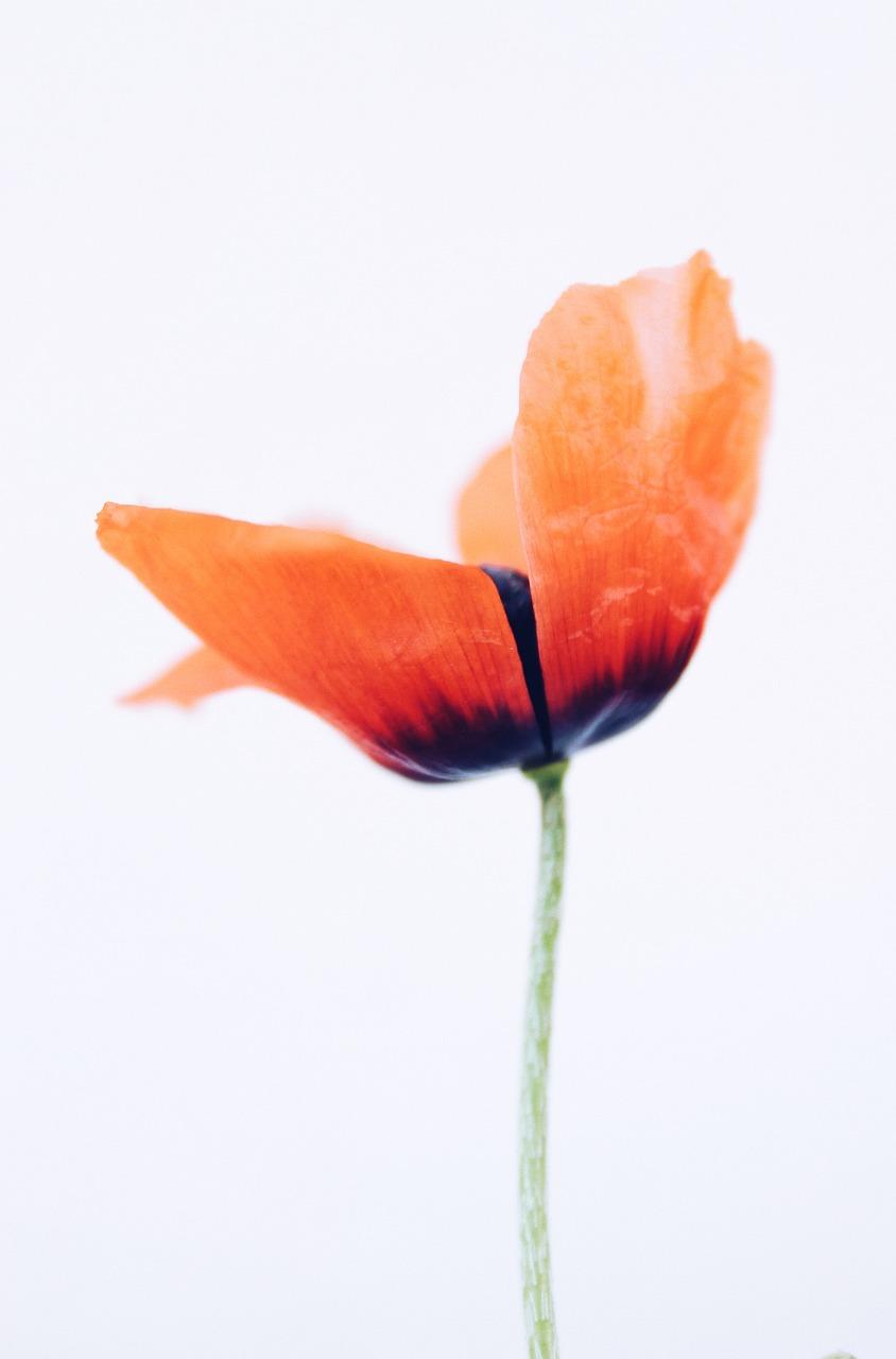 4. 秋收时节豪宅