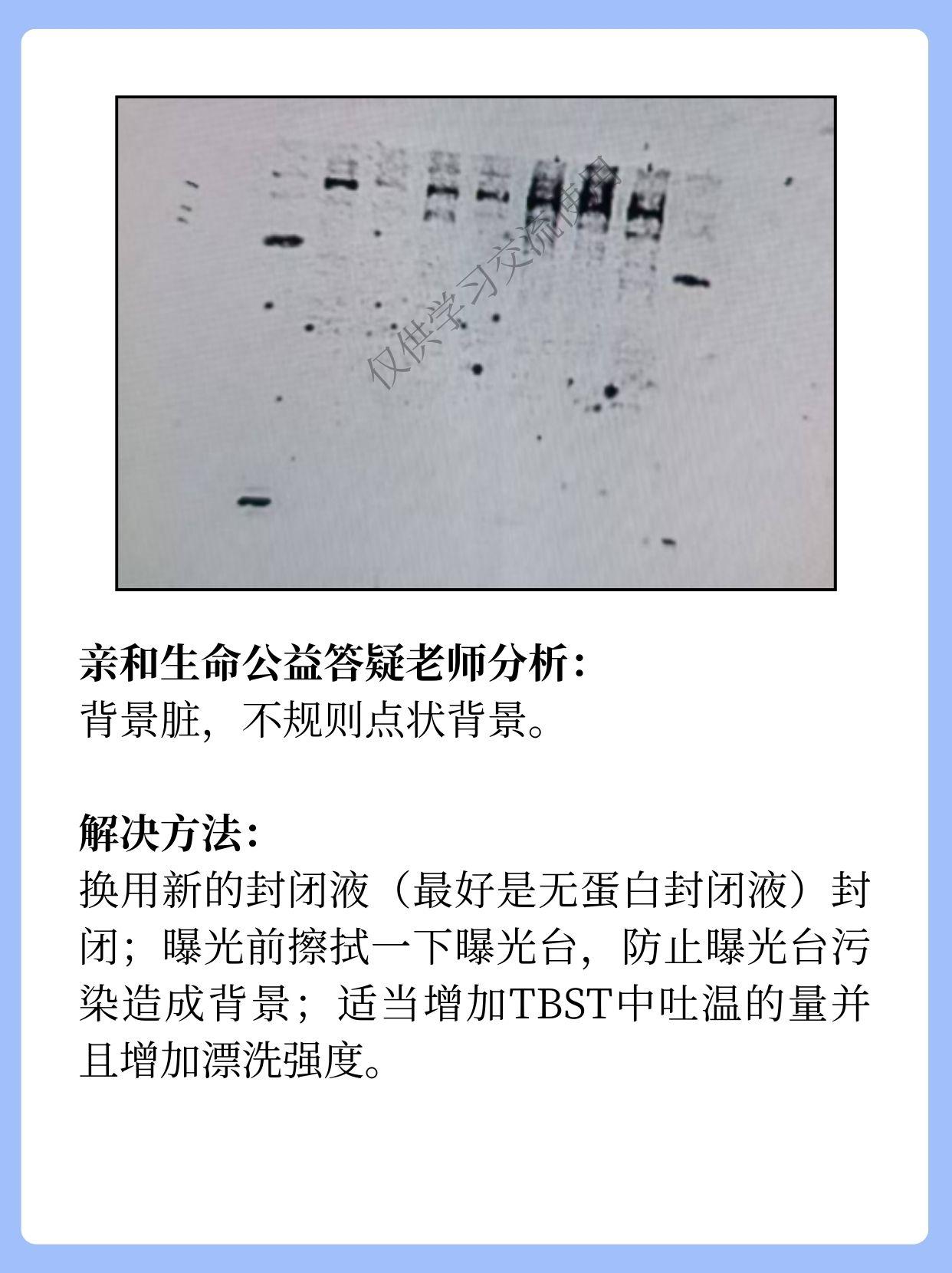 wb实验典型问题分享