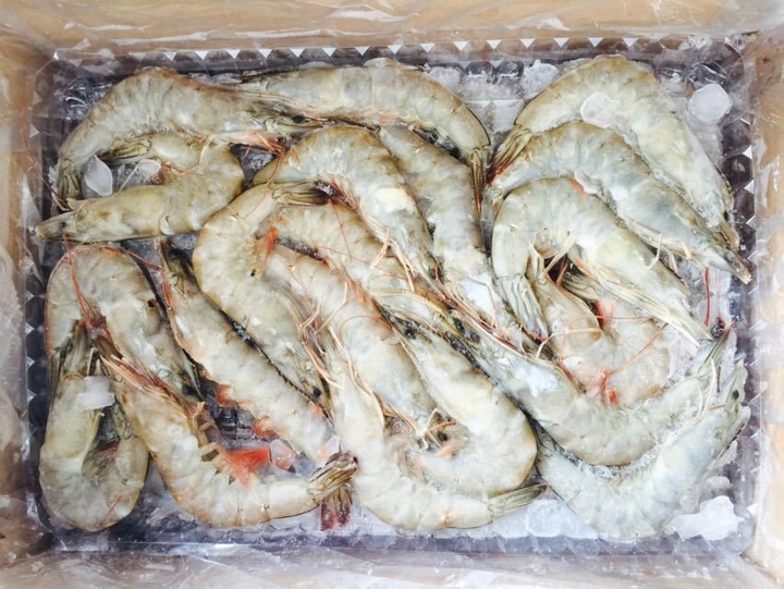 厄尔瓜多南美白对虾清关哪家强？