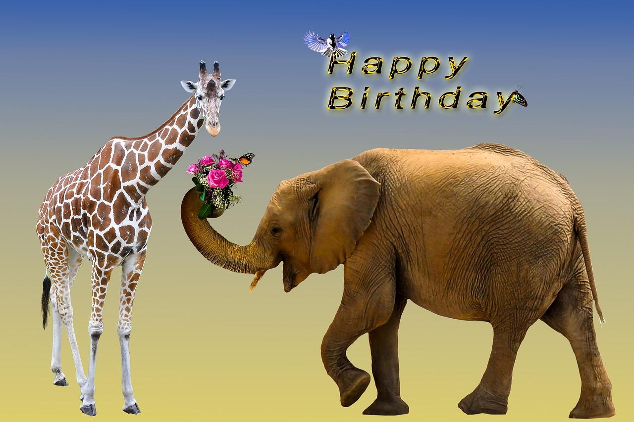 雪花飘落，愿友幸福，岁末安康