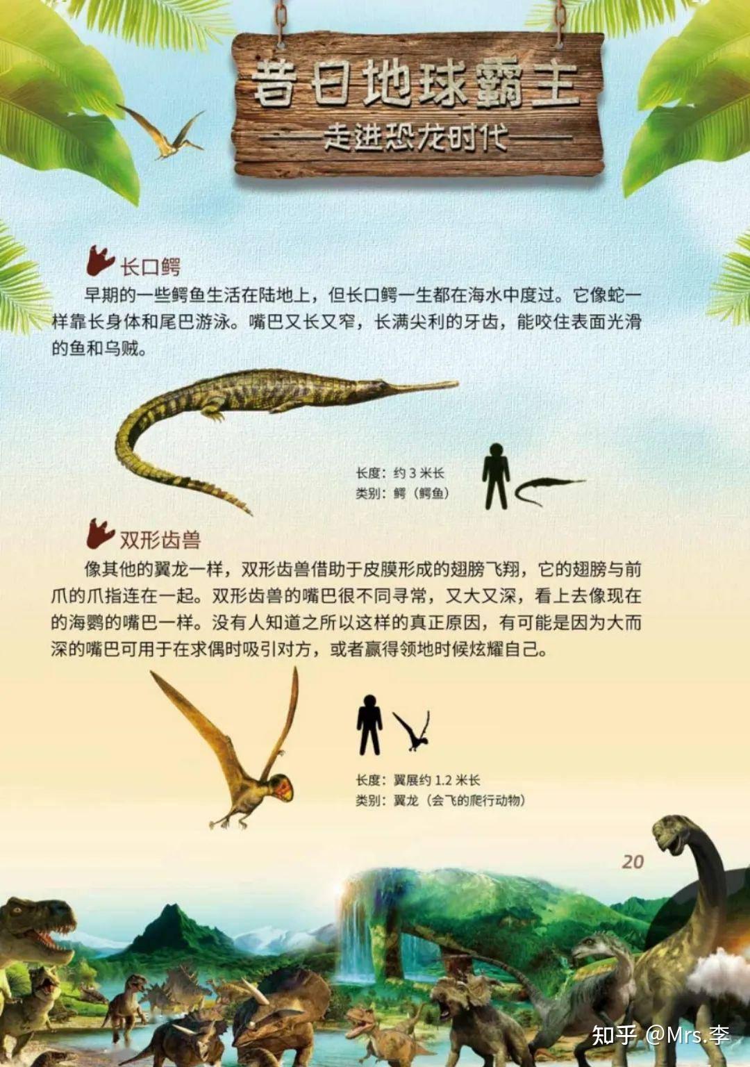 请教主要恐龙的分类信息,主要恐龙是如何分类的?