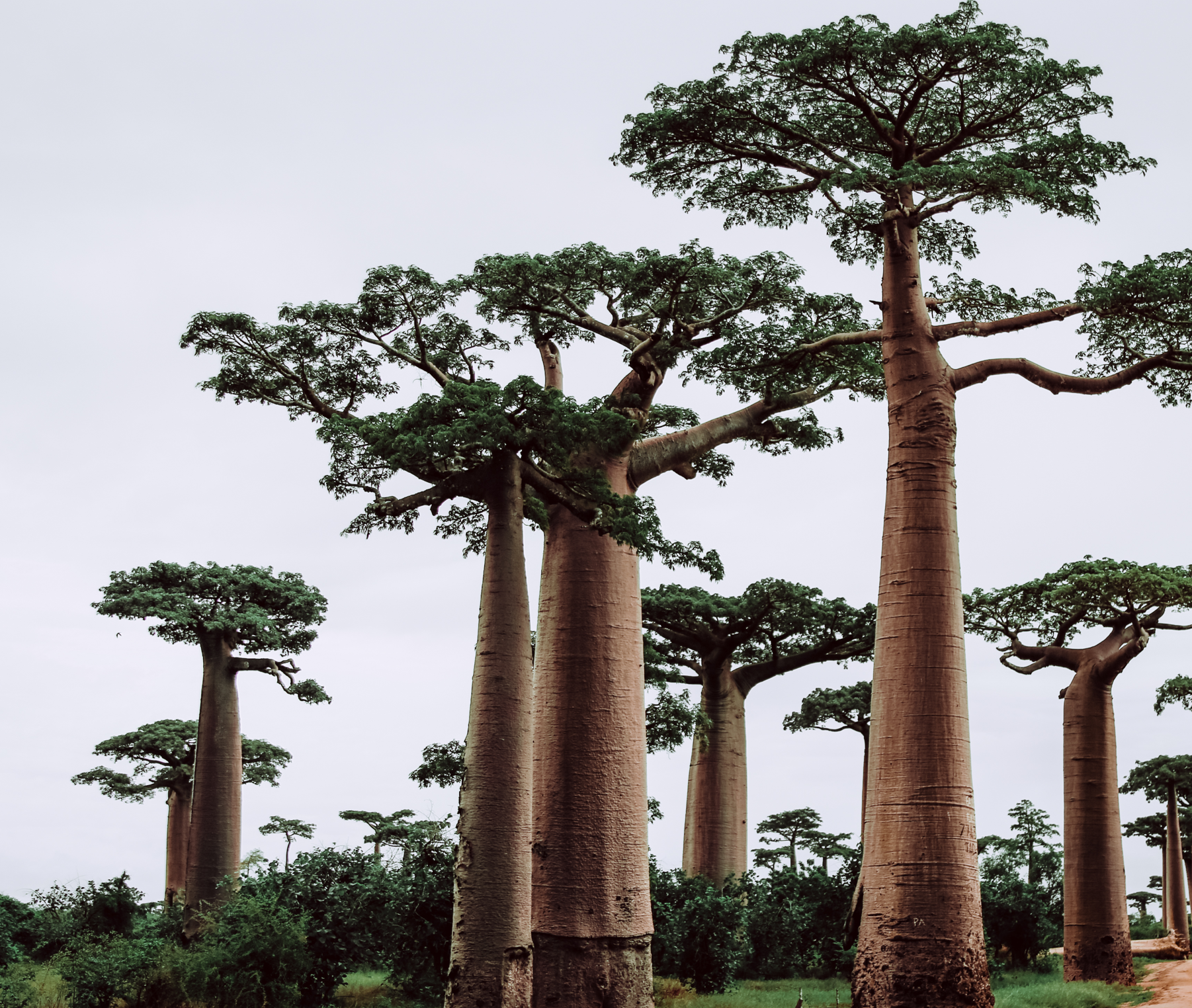 交叉货币基差的简单版本介绍- 知乎