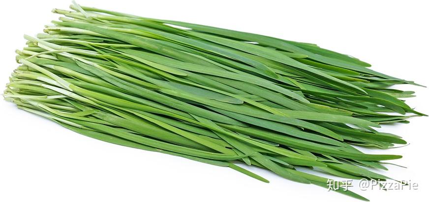 chive,leek,scallion,shallot有什么区别?