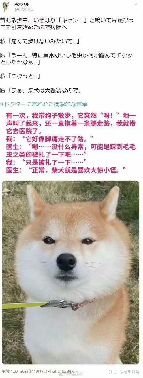 有哪些够你笑一辈子的沙雕图片？ - 知乎