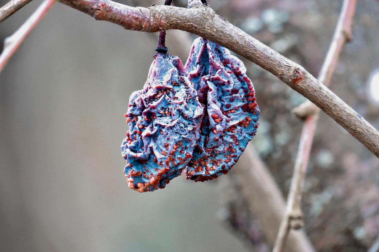 夏天室内干燥怎么办