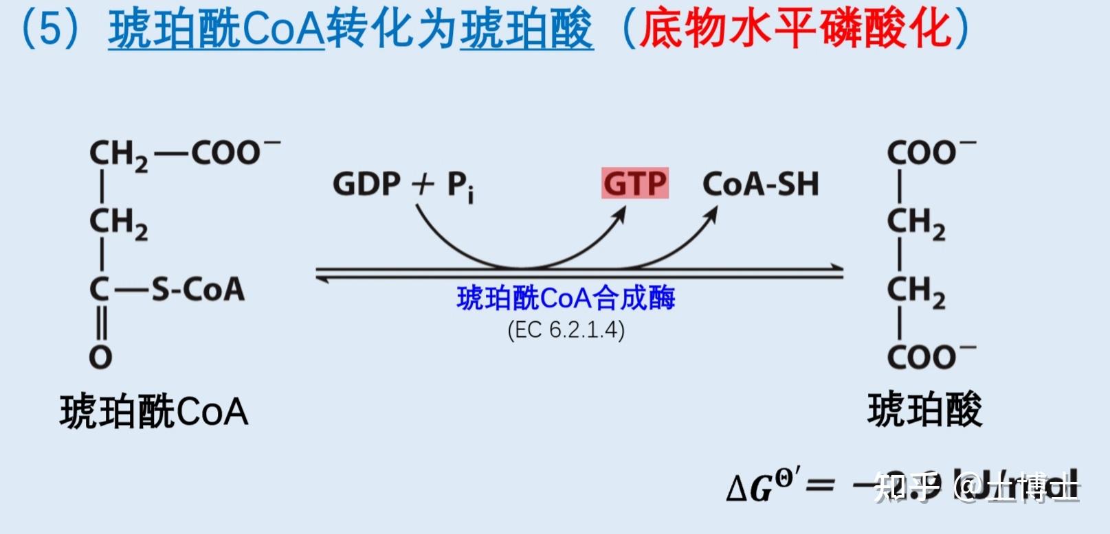 草酰琥珀酸结构图片