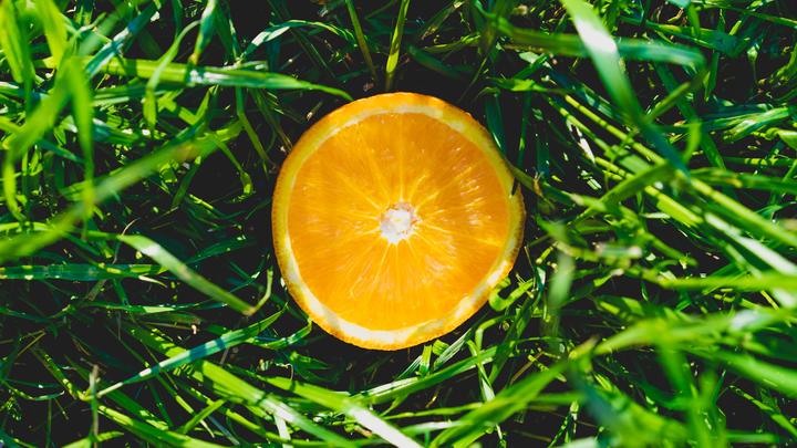 每日一篇好文分享——《橘子不是唯一的水果》珍妮特•温特森- 知乎