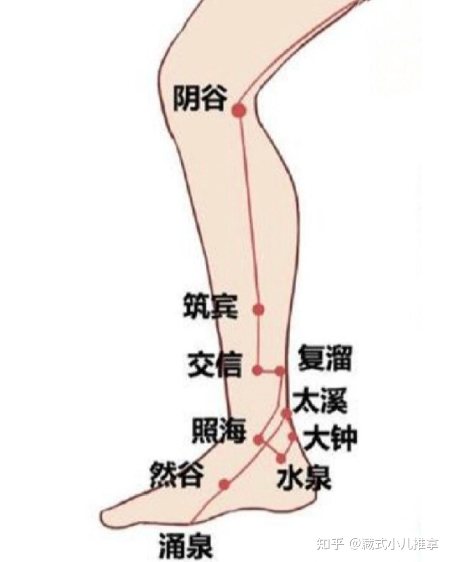 复溜穴 - 知乎